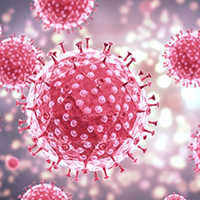 Papilomavirus humanos (PVH) y cáncer cervicouterino